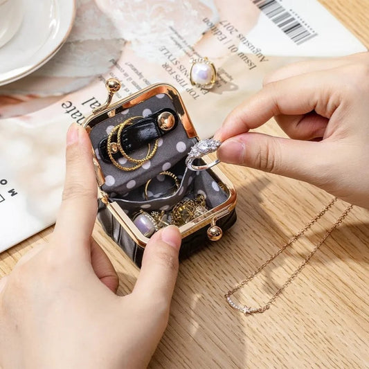 Voyage Organizer | Premium Black Mini Pouch