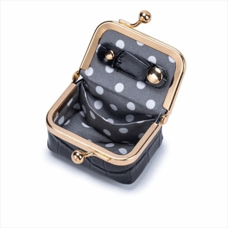 Voyage Organizer | Premium Black Mini Pouch