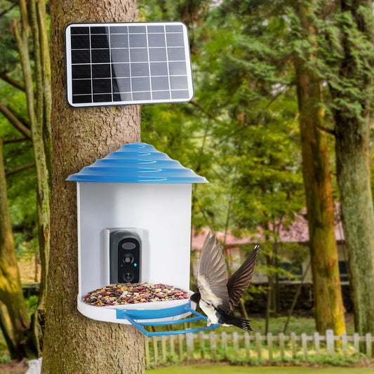 Smart AI Bird Feeder Camera with integrated solar panels and a high-definition lens, mounted in a garden setting.