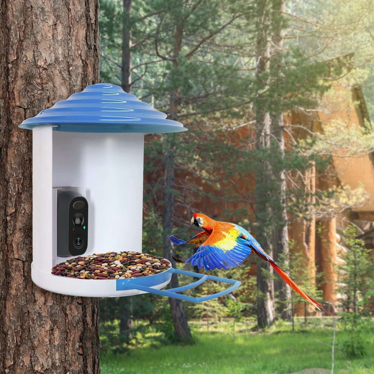 Smart AI Bird Feeder Camera with integrated solar panels and a high-definition lens, mounted in a garden setting.