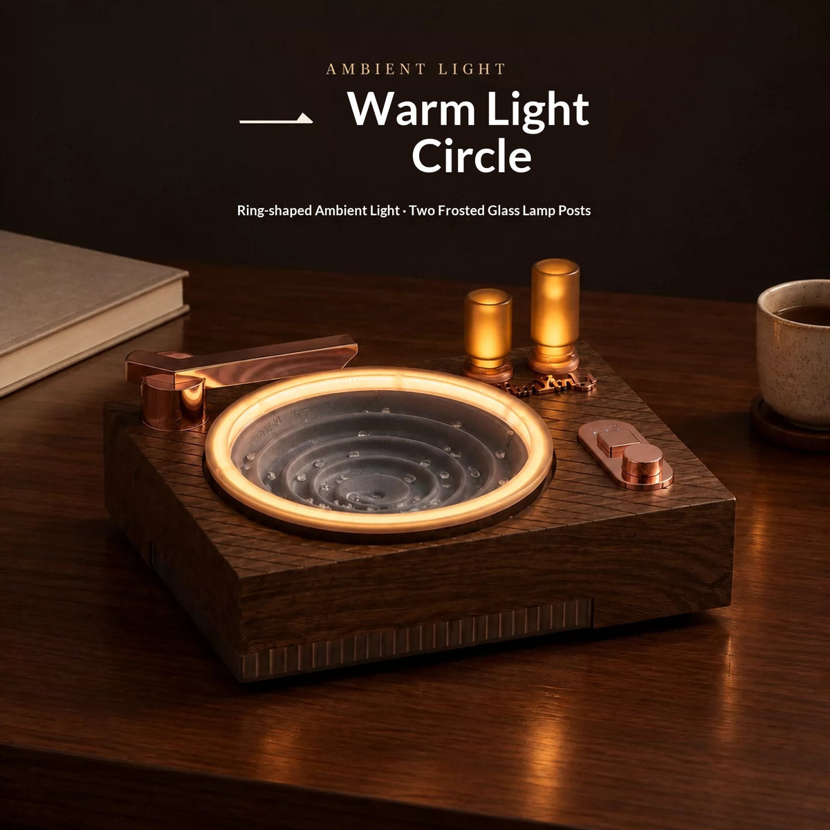 Record player night light and white noise machine with RGB light – photo 3